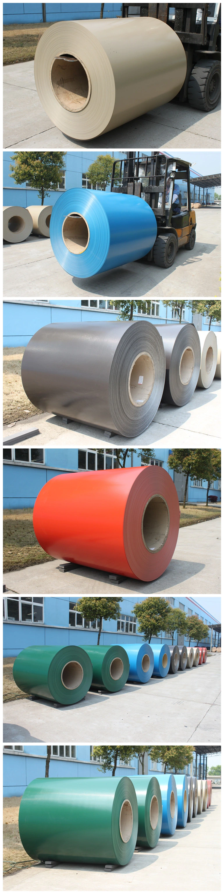 Decorative Color Coated Aluminium Coil/Foil